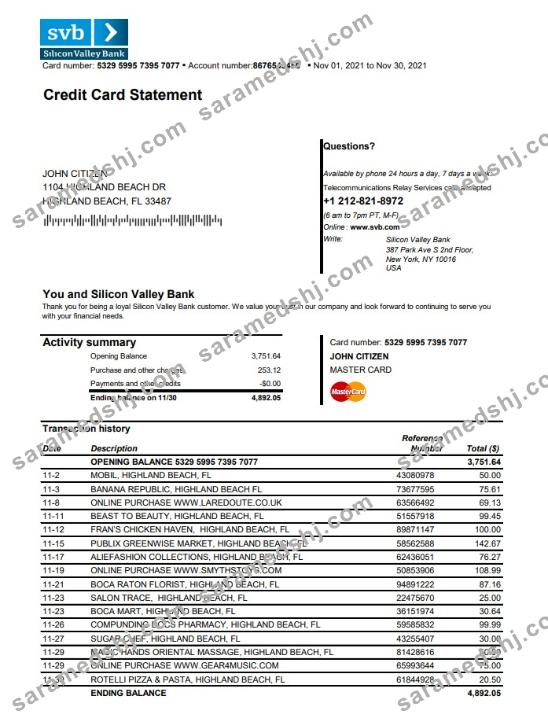 USA Florida Silicon Valley bank credit card statement template in Excel and PDF format